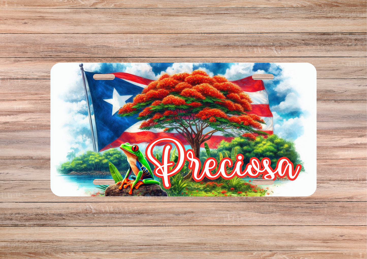 Puerto Rico "Preciosa" License Plate image 0
