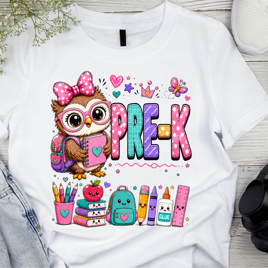 Cute Girls Back to School Shirt – Pre-K through Sixth Grade | Adorable Owl Graphic Tee | First Day of School Outfit | Kids School Shirt
